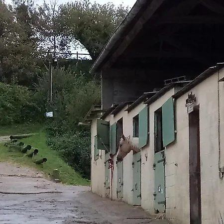 Studio Mer Et Centre Equestre Mers-les-Bains Exterior foto