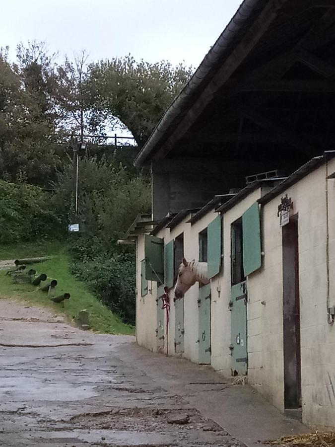 Et Centre Equestre Mers-les-Bains